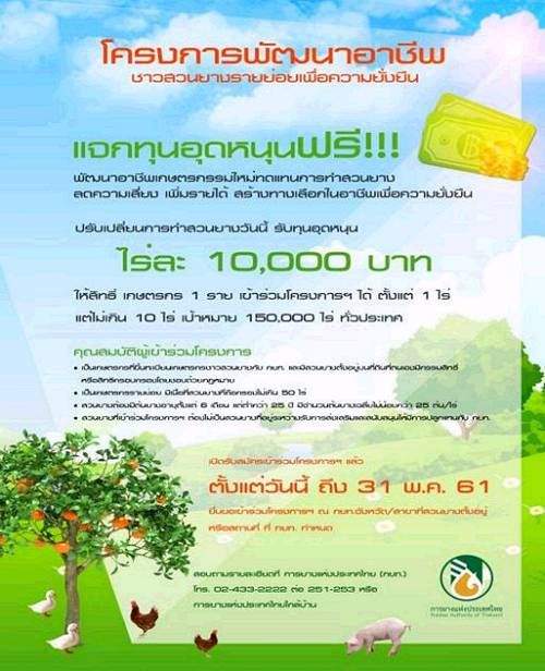 颜冬：库存不断下降，橡胶价格为何“跌跌不休”