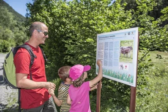 袖珍国安道尔，比利牛斯山中免税天堂！