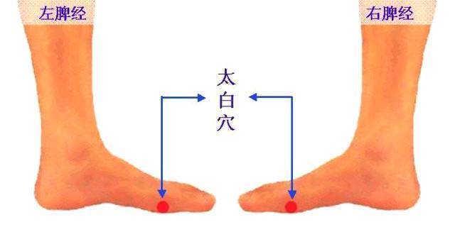 t01ed2f387de134bc96.jpg