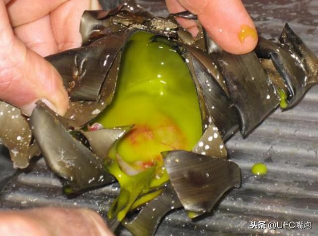 海边发现奇怪螺旋物,男子拿锤子砸开后,下一幕