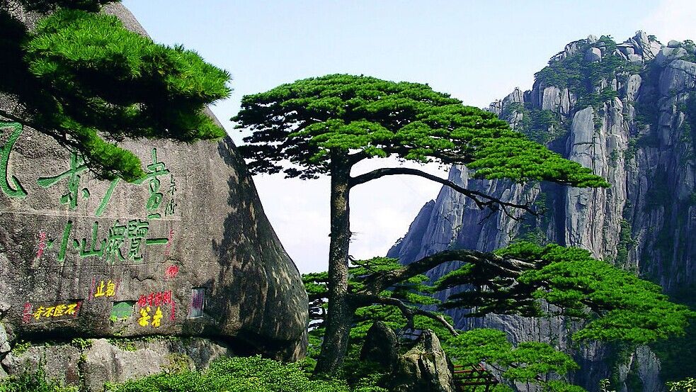 安徽最强的城市， 也是中部发展比较快的城市，是你的家乡吗?