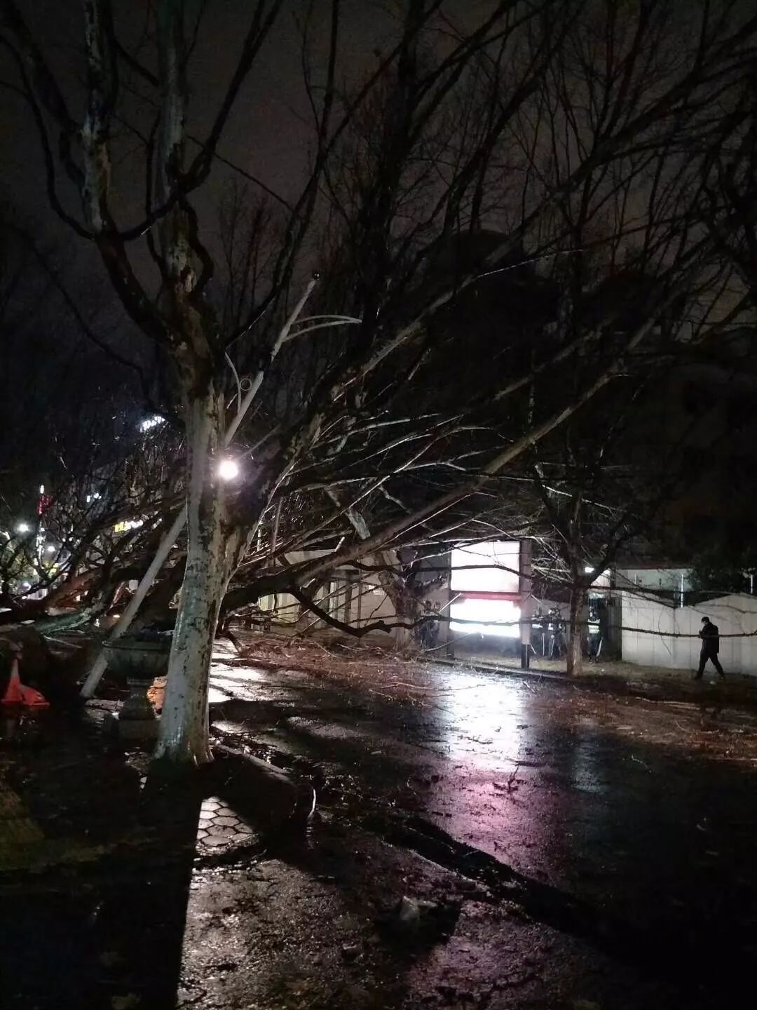 惊蛰!昨天傍晚杭州遭遇强对流天气，多处树木倒伏，建筑车辆受损!