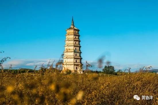 金秋赤峰赛罕乌拉美如仙境，简直是内蒙草原牧民的七彩天堂