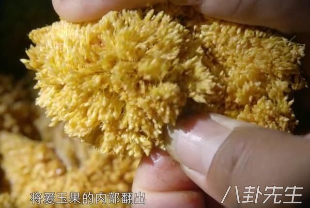 豆瓣评分8.8！这部关于水果的纪录片刷新了常人的认知