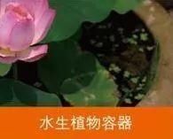 「北京疾控提醒您」北京蚊子图鉴，拥有这套防蚊指南让你和蚊子说