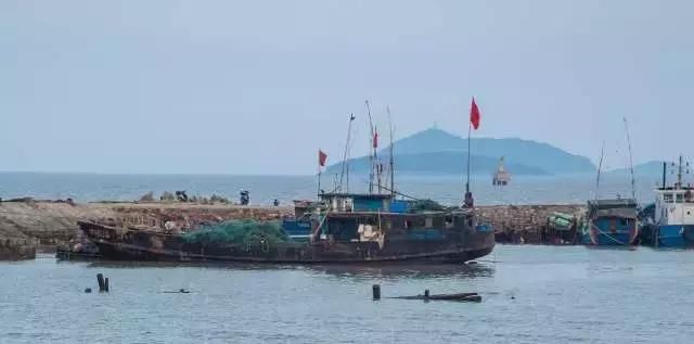 野生大黄鱼没了，这里的年夜饭“海腥气”依然很浓！