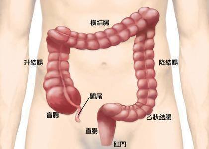 t01ef01635eae10a3b1.jpg
