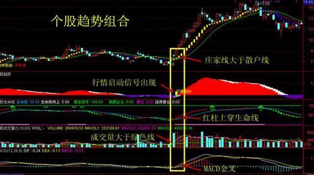 中国股市又出现荒唐行为，主力全部阵亡，A股命运将彻底改变！