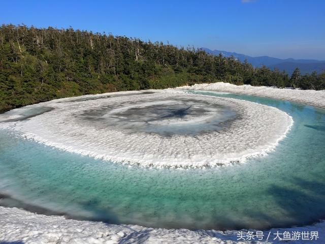 活用JR PASS，省钱游遍日本秋田青森樱花百选之地