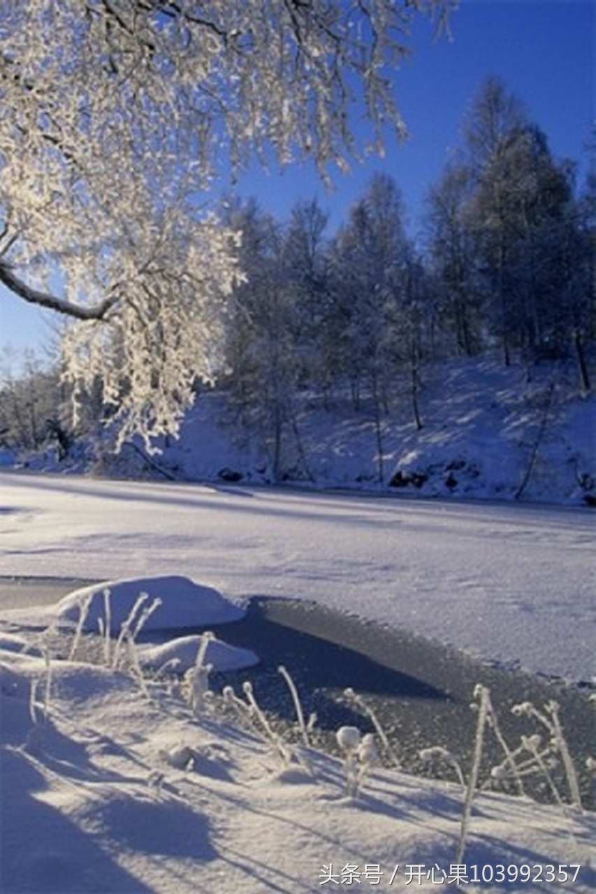 53张适合做手机壁纸的精美竖版雪景图片集,希
