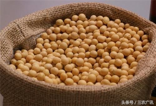 大豆加工补贴、豆粕涨价、进口遇阻等利好，大豆是否应该涨价了！