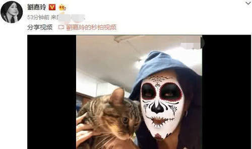 刘嘉玲特效面具学猫叫,一旁的猫咪生无可恋,表