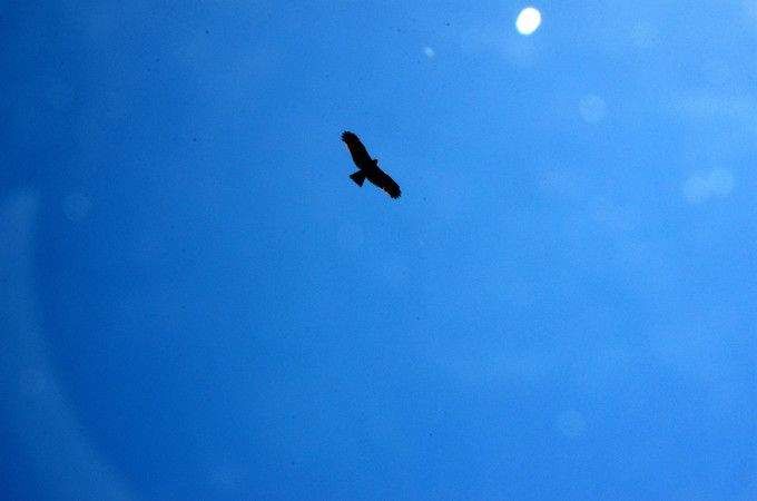 无人不知的自然净土,假期就该这么玩!