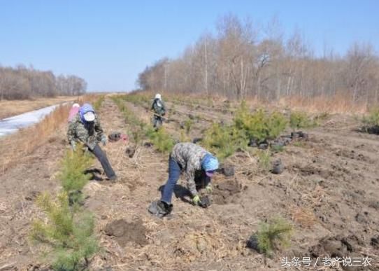 农村土地退出遇瓶颈，5万一亩没人问，专家不解：给钱也不要吗？