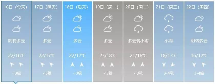 @广西人:挺住!春节礼“雾”来袭，长假后期可能还会降温……