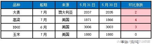 国内玉米现货市场波澜不惊，临储玉米拍卖温和降温