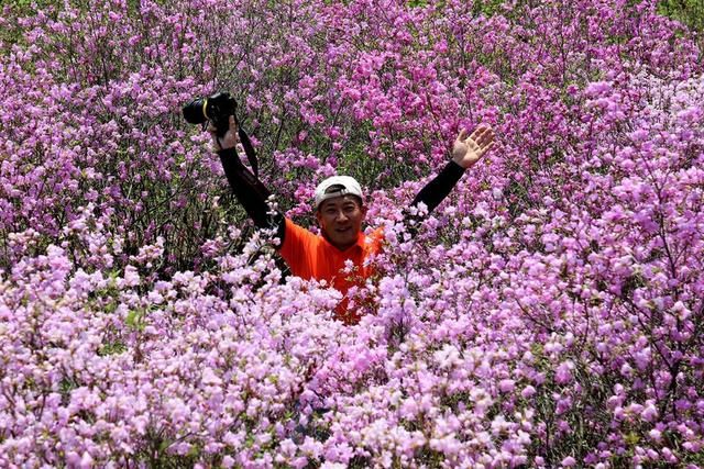 白山户外群关门砬子观映山红休闲一日游