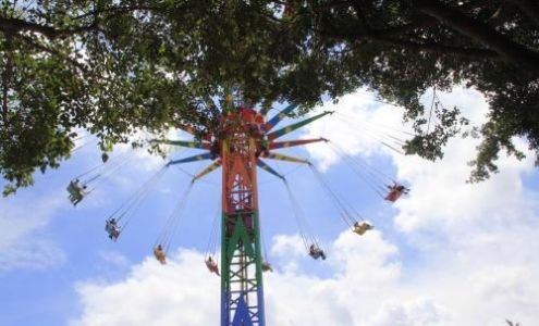 钢琴教师资格证