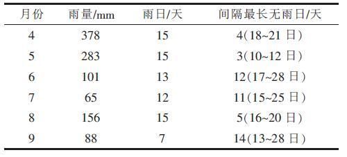 高山坡地荔浦芋种植技术