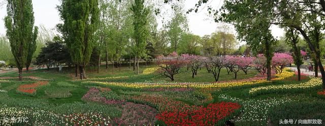 夏日全民旅行记 厦门旅游攻略,看到攻略后应该