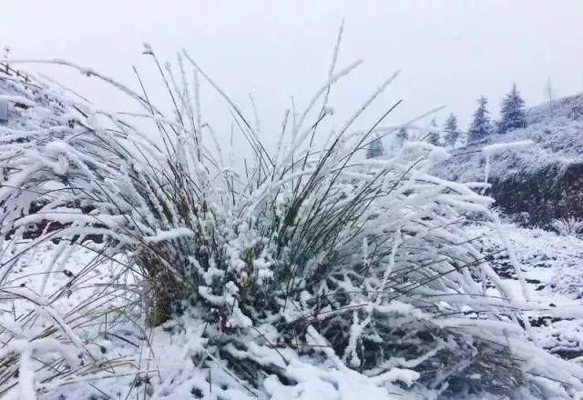 这是贵州最全的冰雪景观！美得有点猝不及防……