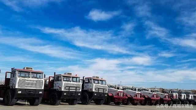 沙漠腹地的猛货俱乐部 探秘塔里木沙运司的怪