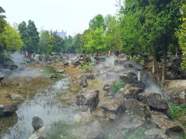 青白江凤凰湖的樱花终于开了，门票免费，再也不用去日本看樱花啦