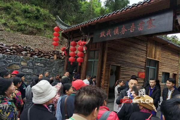 采春茶游苗寨 古丈茶旅正当时