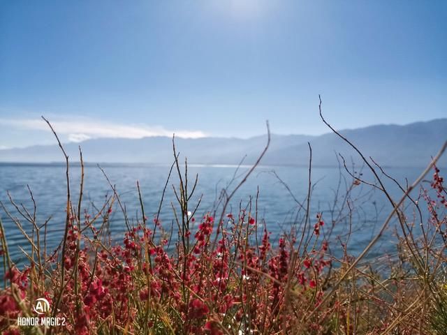 五一四天假期!荣耀Magic2超广角模式让拍照告