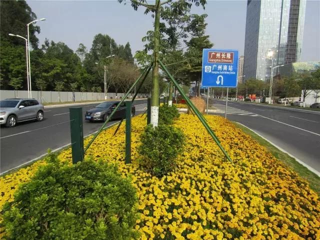 走起!跟着小番来看看番禺的盛世美颜