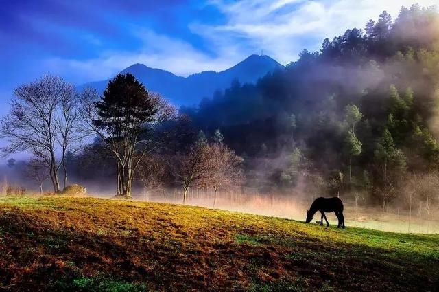 重庆旅游一脚跨秦巴，一月照千峰