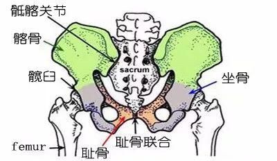 腰痛，这次竟然是“骶髂关节”在作祟？