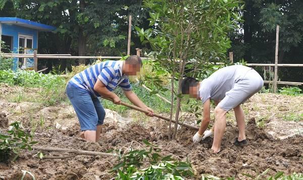 义乌检察院实施量化评价案后修复全覆盖