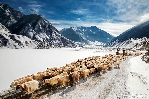 大美新疆 锦绣昭苏