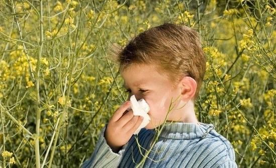 普及贴孩子过敏怎么办?春季花粉过敏高发 防护