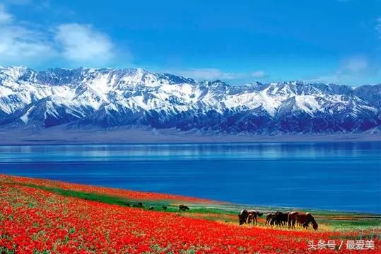 大美新疆，五月你知道去哪里旅行吗？