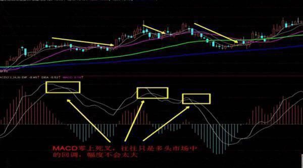中国股市进入“自杀时代”,股灾道路散户上还能走多远?