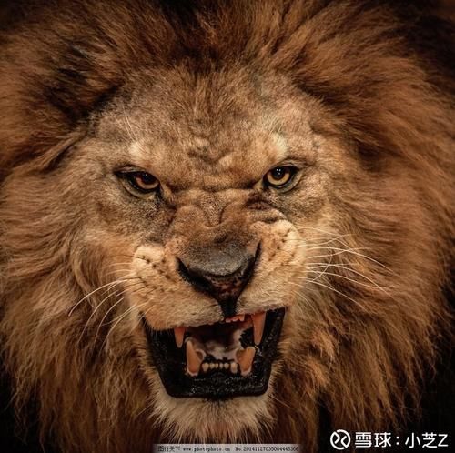 郎酒在江苏花5个亿打的广告浓香正宗给郎酒