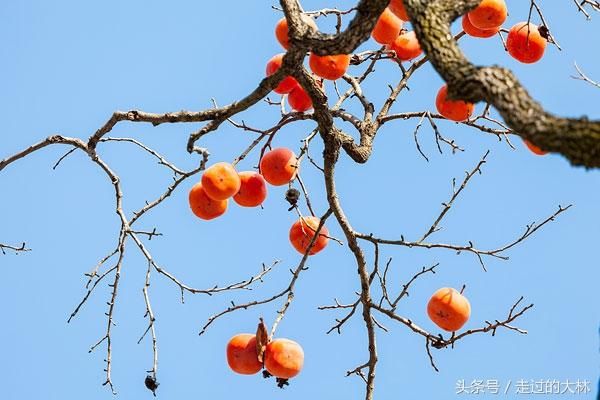 只有今生,没有来世,请好好珍惜这一世!