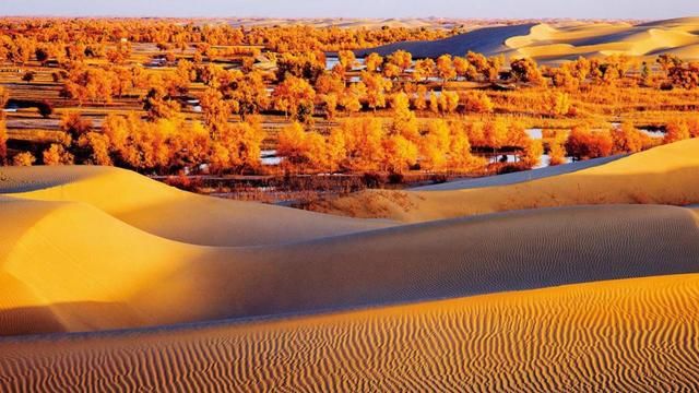 世界八大迷人沙漠!