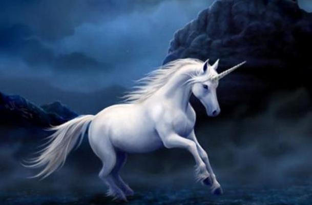 当初烂尾的独角兽基金,逆袭了