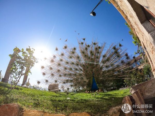 多彩土耳其，披星戴月的十个日夜-干货攻略