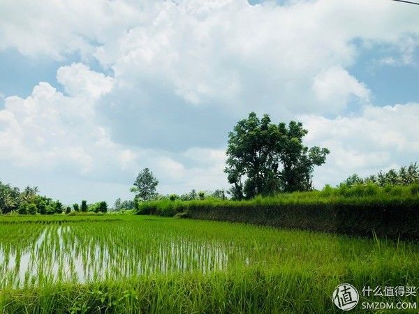 【巴厘岛游记】全球最适合拍照的酒店,拔草之