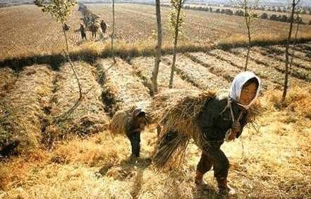 朝鲜男导游以此为傲, 对中国游客表示同情