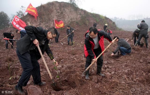 即将发放补贴，这几类农民看看你怎么领！