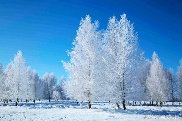 大美新疆 锦绣昭苏