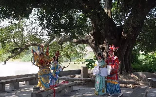 花都这个500多年的古村，宛如仙境，遇上便不能忘怀！