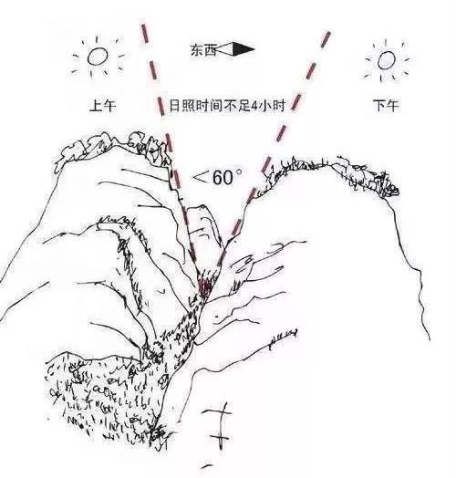 武夷山当地人和旁观者 ，所看到的正岩山场有什么不同？