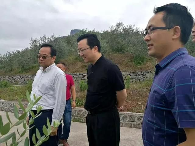 辽宁省委常委、常务副省长张雷一行到奉节鹤峰乡调研对口援建情况