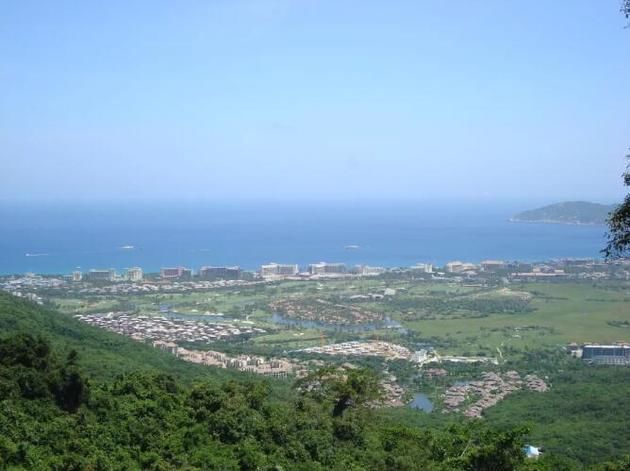 这群人想靠海南“赛马”大赚一笔,但有人给他们泼了盆冷水